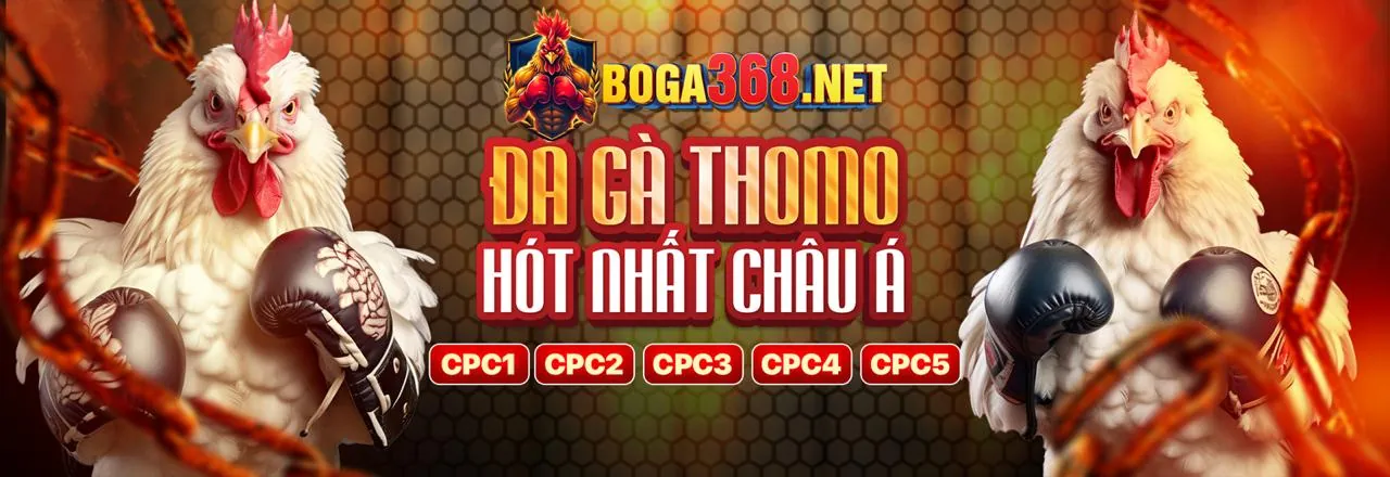 Blog qh888 nhà cái - Tin tức và Hướng dẫn cá cược trực tuyến